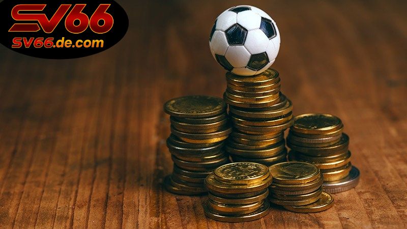 SV66 là gì trong thị trường cá cược Việt?